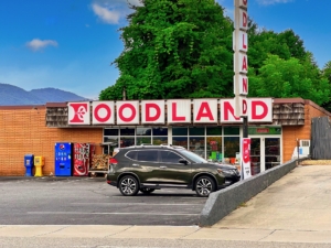 A FoodLand grocery store in Blairsville, Ga