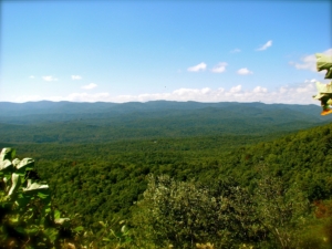 Amicalola